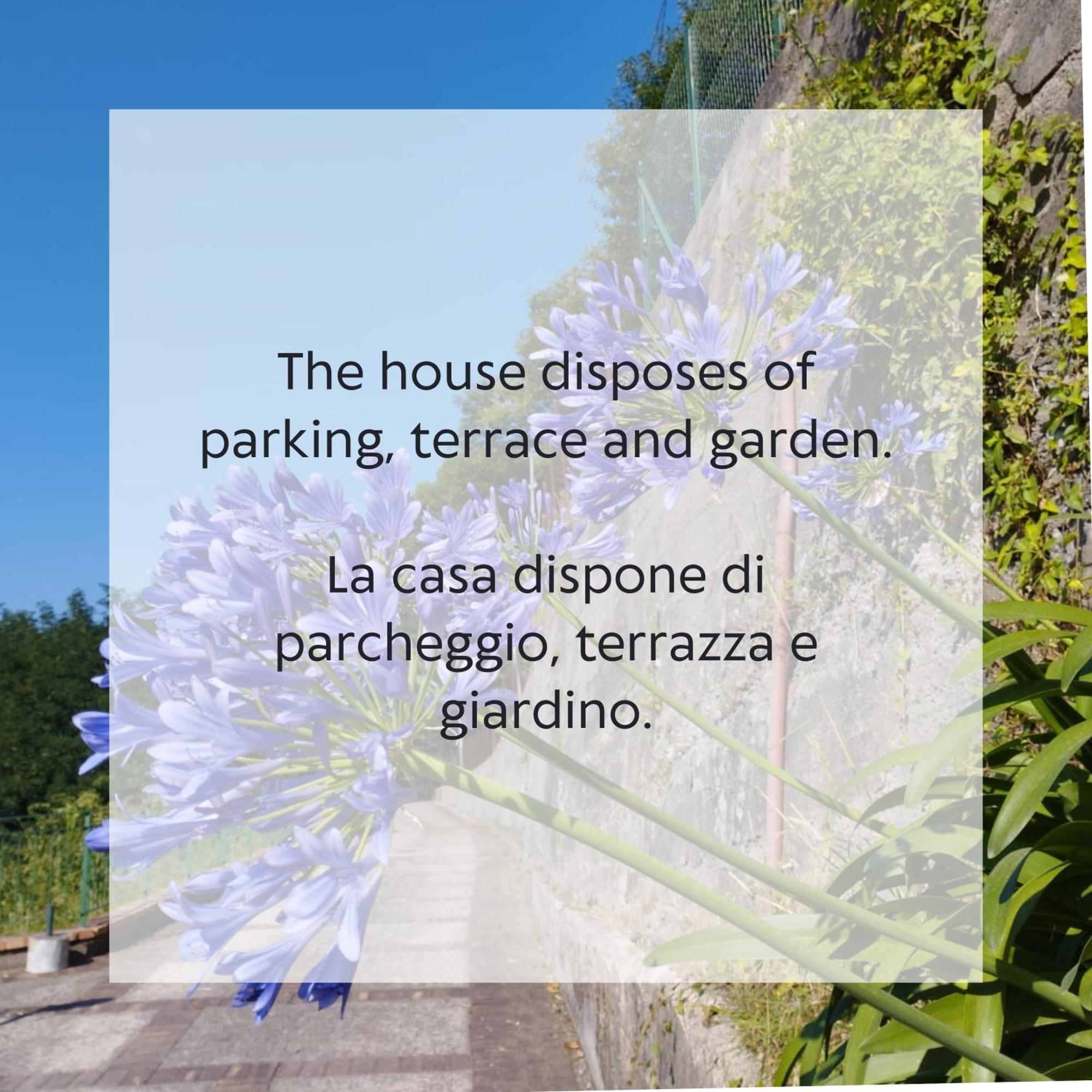 Villa Vicinus - 120 Mq - Parking - Garden Vietri Exterior foto